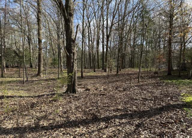 Property at ABC Greenbush, Harbert, MI 49115