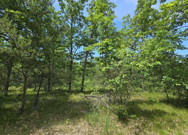 Property at VL Custer, Manistee, MI 49660