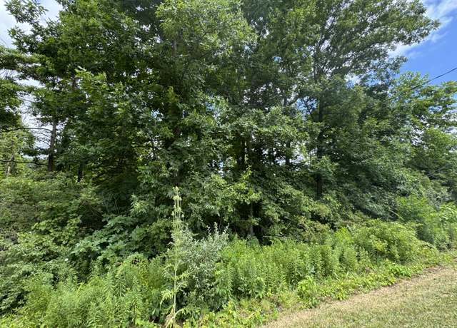 Property at 119th Ave, Fennville, MI 49408
