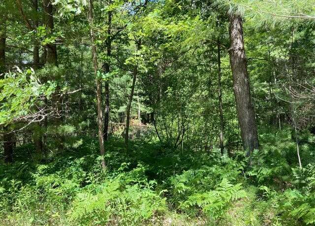 Property at A & B Old M-63, Luther, MI 49656