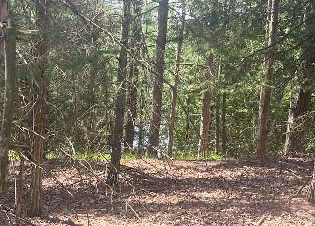 Property at 00 Donna Dr, Big Rapids, MI 49307