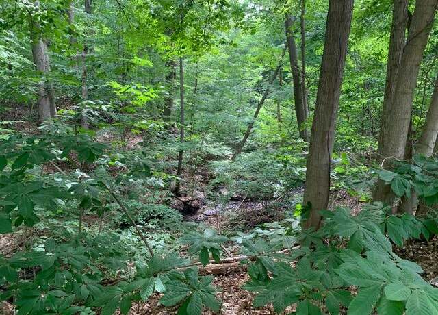 Property at 00 S Red Arrow Hwy, Three Oaks, MI 49128