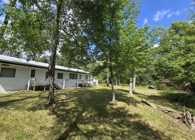 Property at 1342 E Wally Fork Dr, Baldwin, MI 49304