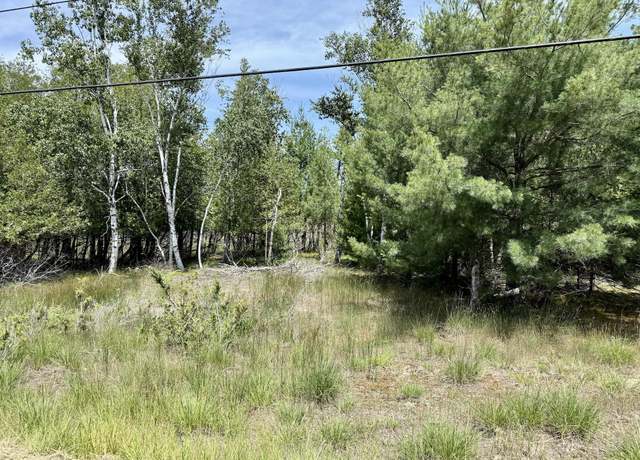 Property at 2 Seymour, Onekama, MI 49675