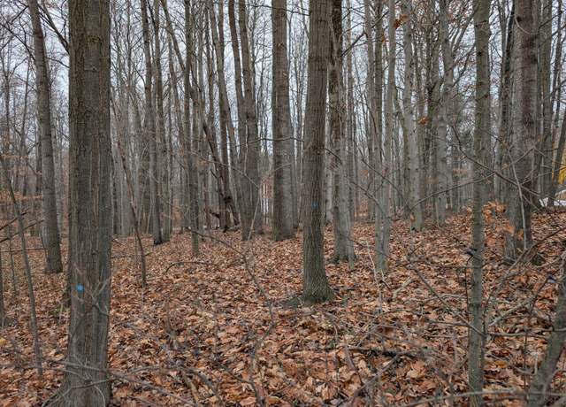 Property at V/L W Beech St, Ludington, MI 49431