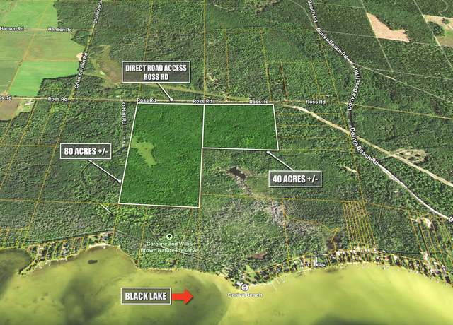 Property at v/l Ross, Cheboygan, MI 49721