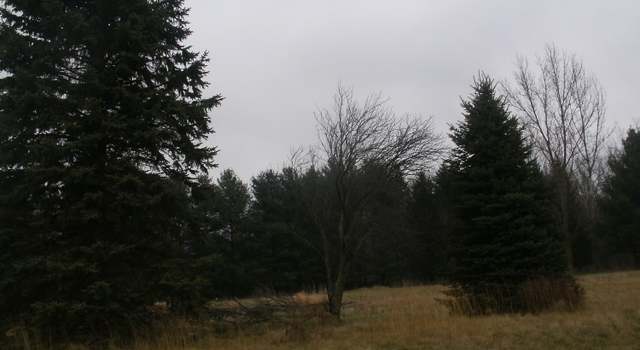 Photo of 64457 Needham Rd, Burr Oak, MI 49030
