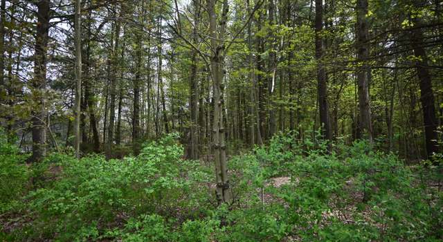 Photo of V/L 6th St, Twin Lake, MI 49457