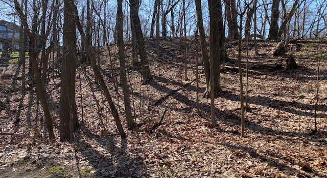 Photo of 00 Shorewood Dr, Covert, MI 49043