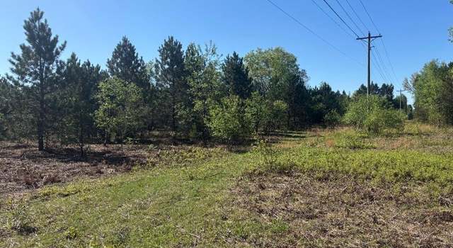 Photo of Parcel A Spruce, White Cloud, MI 49349