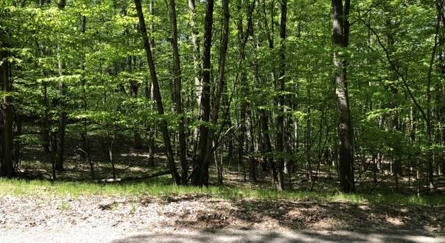 Photo of 11914 Broken Arrow Ln #238, Canadian Lakes, MI 49346