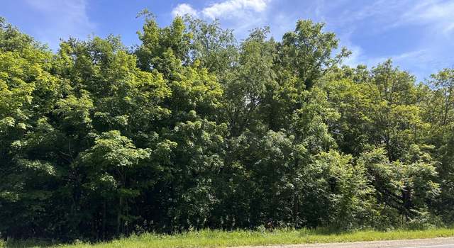 Photo of VL Ann Arbor Rd, Grass Lake, MI 49240