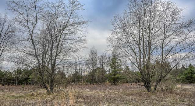 Photo of W Clay Rd, Rothbury, MI 49452