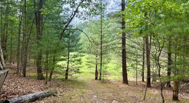Photo of Columbine, Baldwin, MI 49304