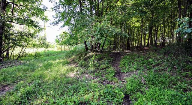 Photo of VL Round Lake Rd, Vermontville, MI 49096