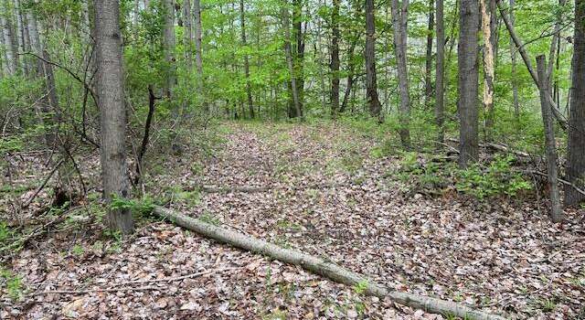 Photo of VL 40th Ave, Remus, MI 49340