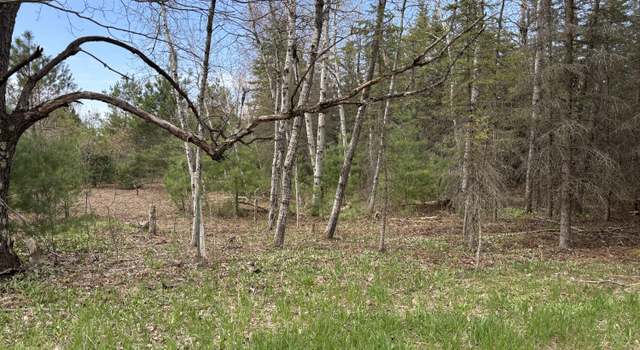 Photo of 001 Adams Rd, Copemish, MI 49625