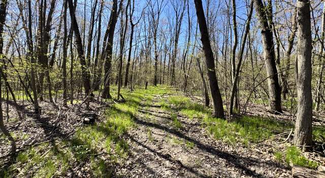 Photo of V/l 3 Mile Rd, White Cloud, MI 49349