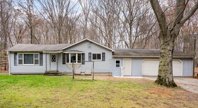 Photo of 13454 Hendrickson St, Gowen, MI 49326
