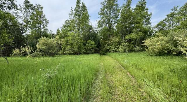 Photo of V/l 200th Ave, Tustin, MI 49688