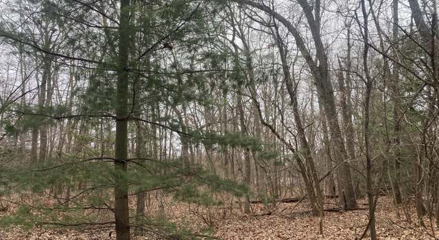 Photo of 18657 Forest Beach Dr, New Buffalo, MI 49117
