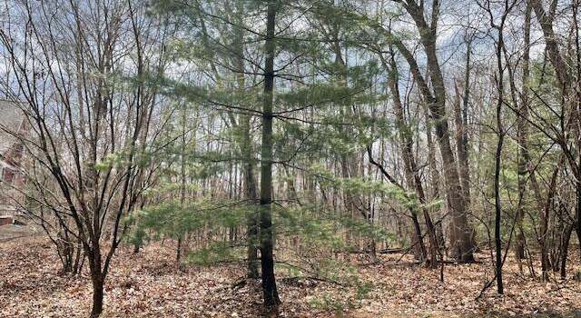 Photo of 18655 Forest Beach Dr, New Buffalo, MI 49117