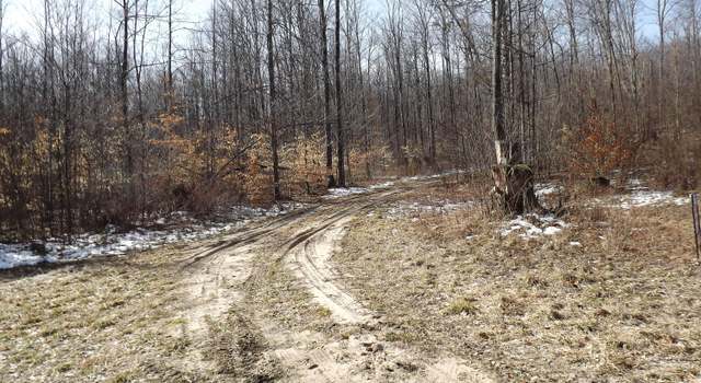 Photo of 000 Valley St, Alden, MI 49612