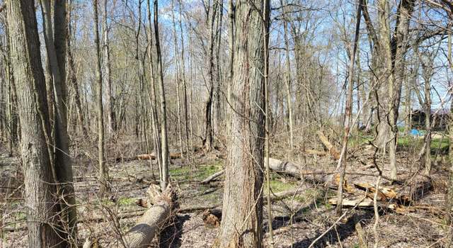 Photo of V/L Burton Dr, Allegan, MI 49010