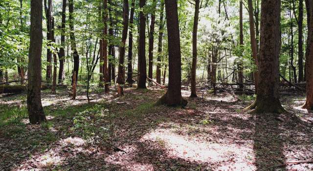 Photo of E Brandywine Dr Unit 17 Acres, Gobles, MI 49055