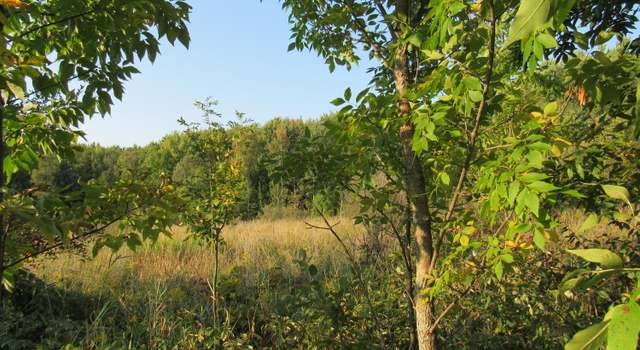 Photo of V/L Hwy 10, Scottville, MI 49454