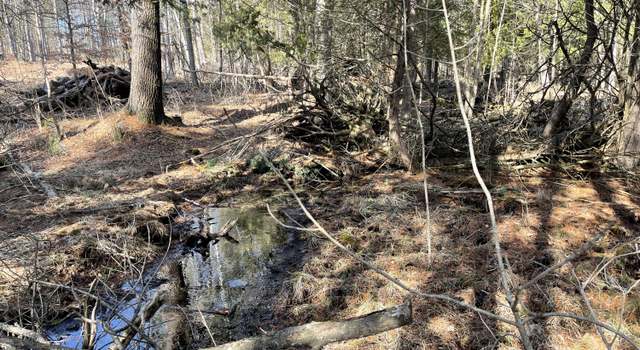 Photo of V/L N Lakola, Leroy, MI 49655