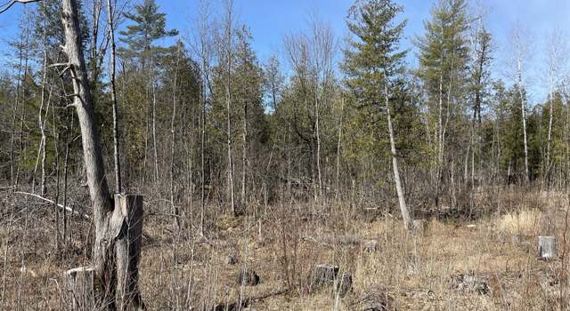 Photo of V/L N Lakola, Leroy, MI 49655
