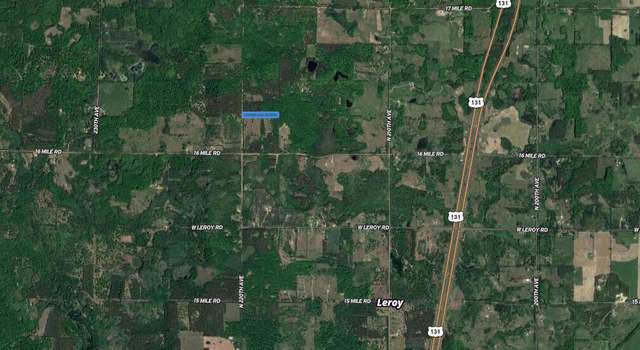 Photo of 16272 N 220th Ave, Leroy, MI 49655