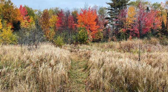 Photo of VL-AG LP Walsh Rd, Ontonagon, MI 49953
