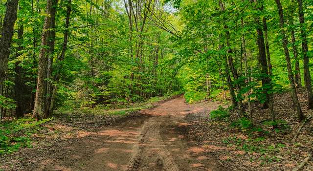 Photo of V/L Tower Rd, Mcmillan, MI 49853