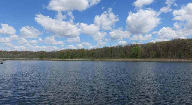 Photo of 66960 Carter Lake Dr, Jones, MI 49061