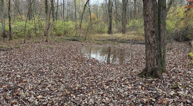 Photo of 5888 Daniel Boone Trl, Berrien Springs, MI 49103