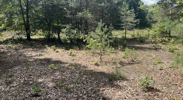 Photo of Par A Orchard Dr, Greenville, MI 48838