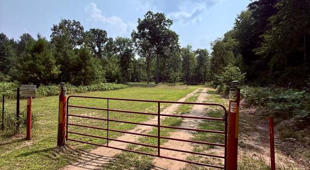 Photo of 1 River Rd, Brethren, MI 49619