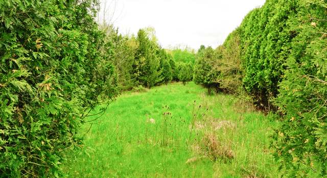 Photo of 0 Hartel Rd, Potterville, MI 48876