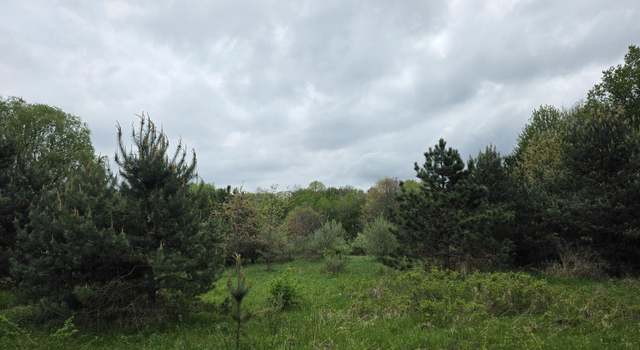 Photo of Holton Rd, Holton, MI 49425