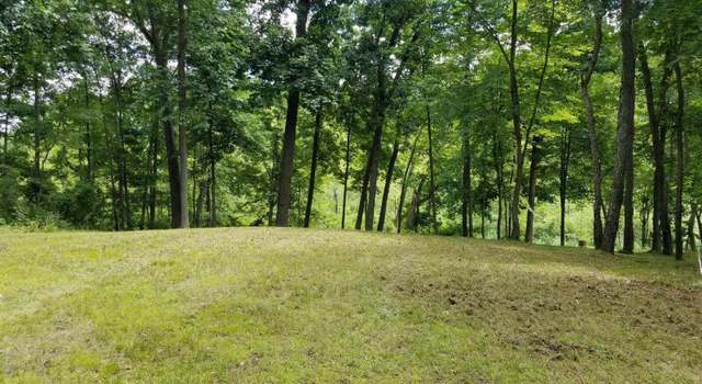 Photo of 0 Lake Bluff Dr, Grass Lake, MI 49240