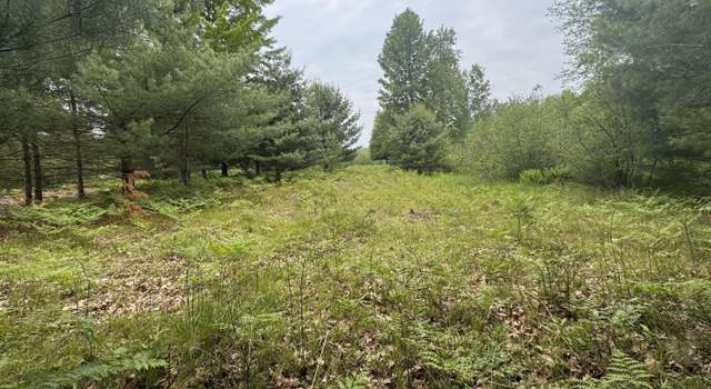 Photo of 6336 Cedar Trce, Stanwood, MI 49346