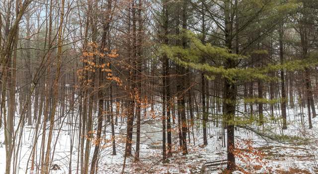 Photo of 9008 W Dickerson Lake Rd, Greenville, MI 48838