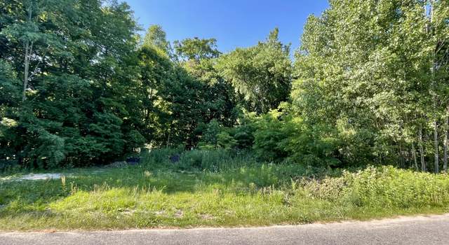 Photo of V/L E Shore Dr, Stanton, MI 48888