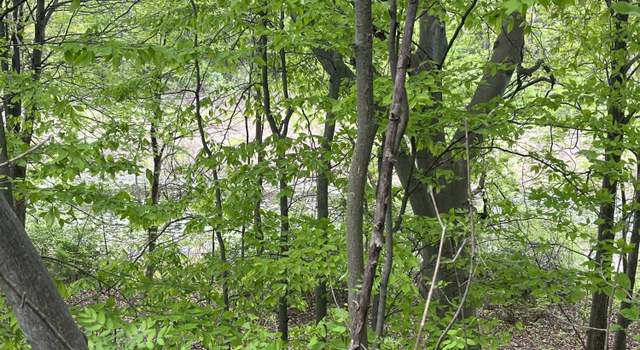Photo of Lot 20 E Heights, Remus, MI 49340