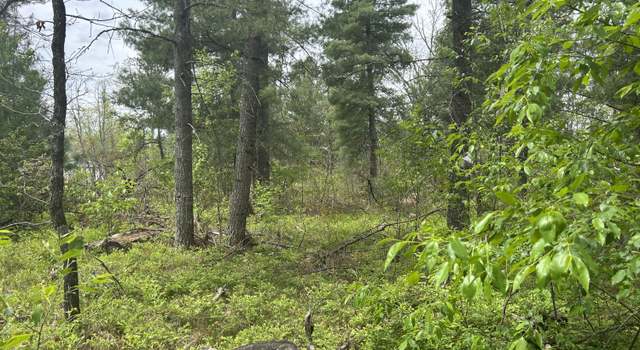 Photo of V/L E Cook St, Idlewild, MI 49642