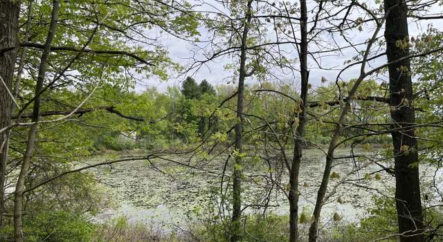 Photo of V/l North Lake 28, Remus, MI 49340