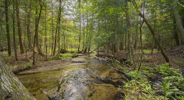 Photo of Carter Creek Rd, Beulah, MI 49617
