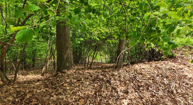 Photo of vl Pretty Lake Dr, Mecosta, MI 49332